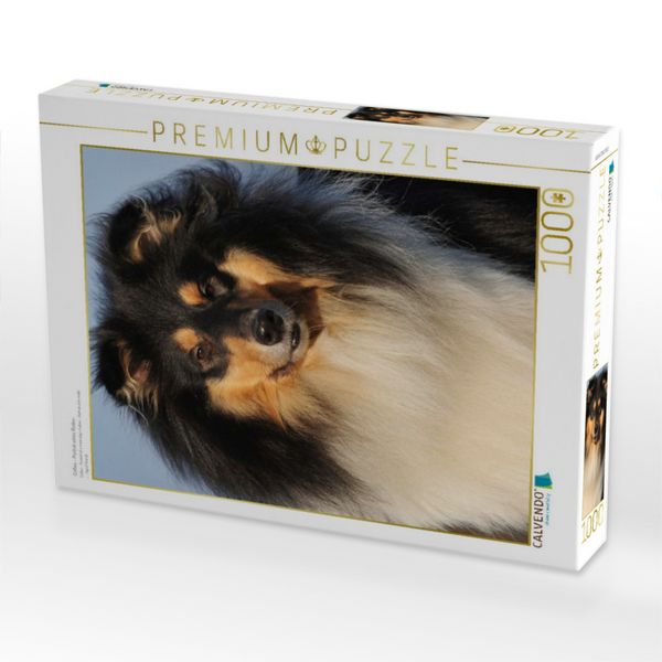 Produktbild: CALVENDO Puzzle Collies - Portr&auml;t eines R&uuml;den | 1000 Teile Lege-Gr&ouml;&szlig;e 64x48cm Foto-Puzzle f&uuml;r gl&uuml;ckliche Stunden