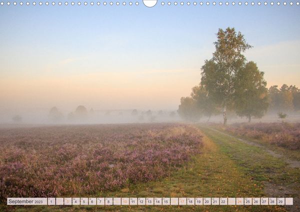 Wunderbare Heidelandschaften (Wandkalender 2023 DIN A3 quer)