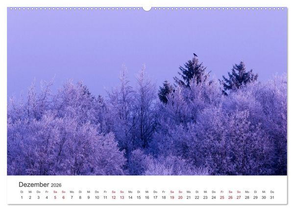 Produktbild: Im Deutschen Wald (Wandkalender 2026 DIN A2 quer), CALVENDO Monatskalender