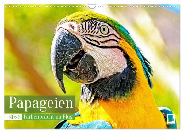 Produktbild: Papageien: Farbenpracht im Flug (Wandkalender 2026 DIN A3 quer), CALVENDO Monatskalender