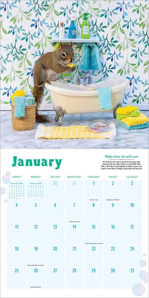 Produktbild: Secret Life of Squirrels Wall Calendar 2026