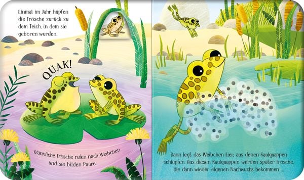 Produktbild: Schau mal, wie ich wachse! Vom Laich zum Frosch