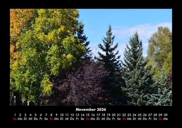 Produktbild: B&auml;ume 2026 Fotokalender DIN A3