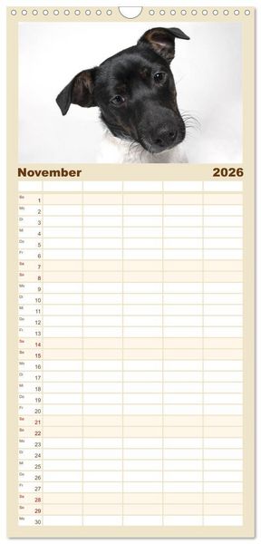 Produktbild: Familienplaner 2026 - Kleine Hunde - Gro&szlig;e Blicke mit 5 Spalten (Wandkalender, 21 x 45 cm) CALVENDO