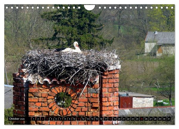 Produktbild: Im Paradies der St&ouml;rche - Dorfkirchen als Storchkirchen in Ostpreu&szlig;en (Wandkalender 2026 DIN A4 quer), CALVENDO Monatskalender