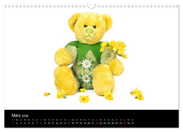 Produktbild: Martin B&auml;ren aus Sonneberg (Wandkalender 2026 DIN A3 quer), CALVENDO Monatskalender