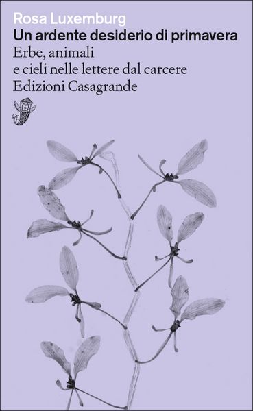 Produktbild: Un ardente desiderio di primavera