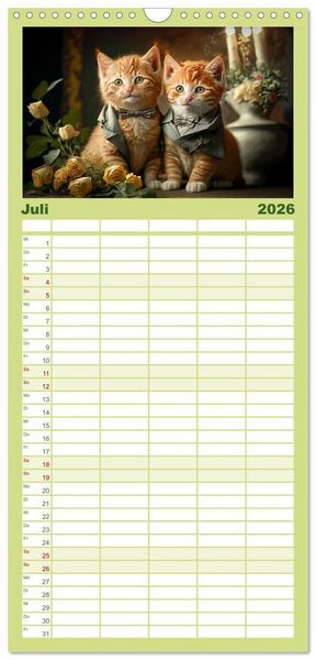 Produktbild: Familienplaner 2026 - Katzen Freunde mit 5 Spalten (Wandkalender, 21 x 45 cm) CALVENDO