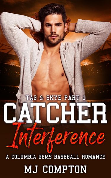 Produktbild: Catcher Interference (Tag & Skye Part 1)