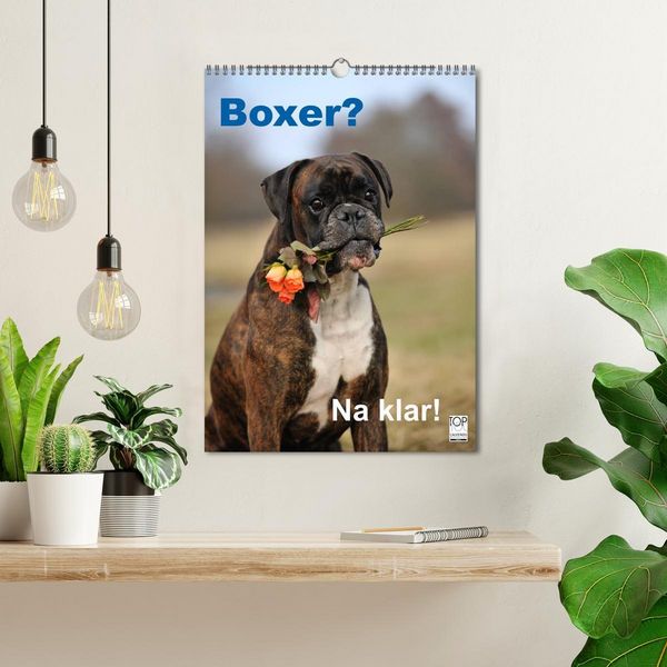 Produktbild: Boxer? Na klar! (Wandkalender 2026 DIN A3 hoch), CALVENDO Monatskalender