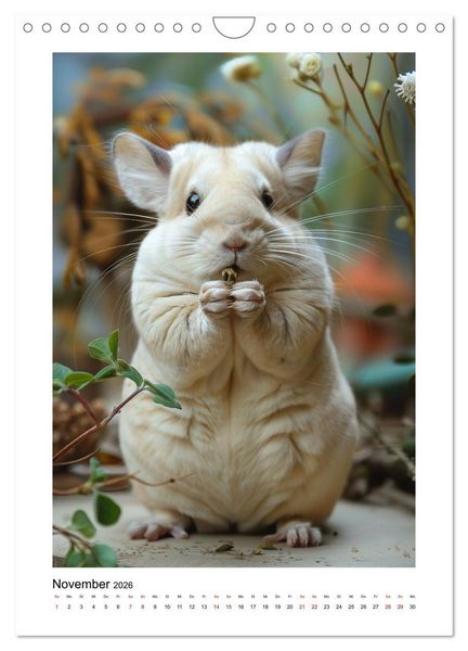 Produktbild: Knuddlige Chinchillas (Wandkalender 2026 DIN A4 hoch), CALVENDO Monatskalender
