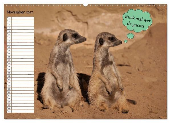 Produktbild: Wenn Tiere Sprechen k&ouml;nnten! Der lustige Spr&uuml;che Geburtstagskalender (Wandkalender 2027 DIN A2 quer), CALVENDO Monatskalender