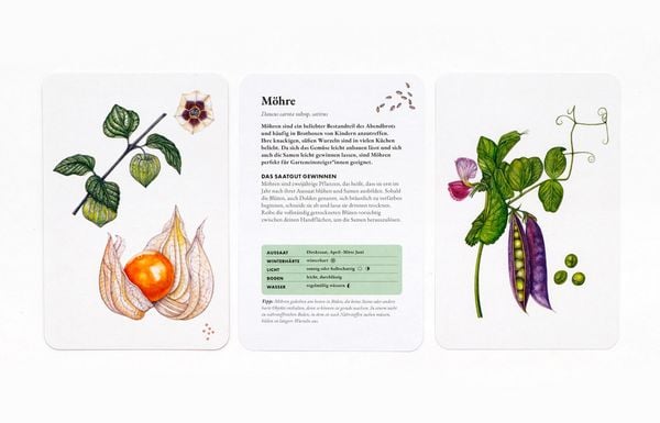 Produktbild: Das Saatgut-Sammelset