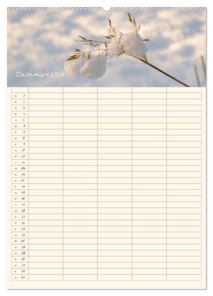 Produktbild: Mit Blick in den Garten (Wandkalender 2026 DIN A2 hoch), CALVENDO Monatskalender