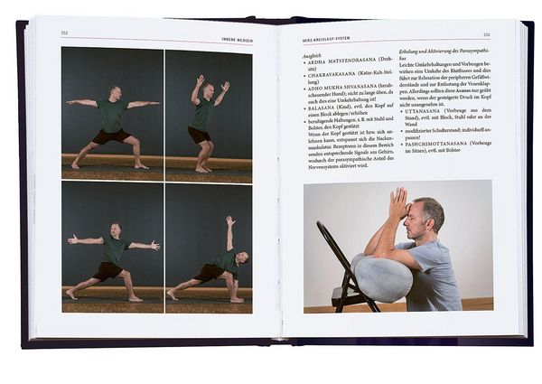 Produktbild: Yoga-Therapie in der Praxis