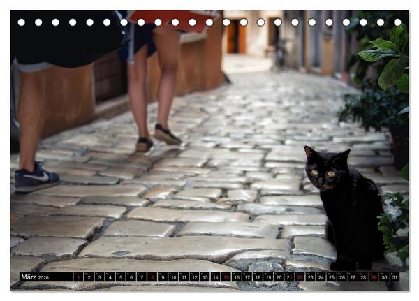 Produktbild: Die Katzen von Rovinj (Tischkalender 2026 DIN A5 quer), CALVENDO Monatskalender