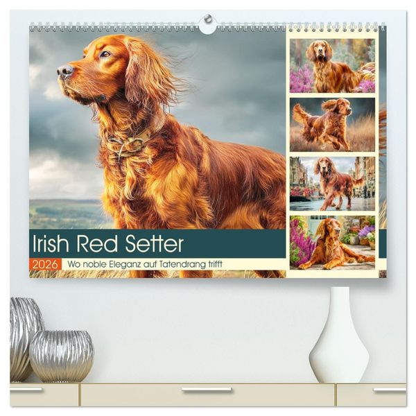 Irish Red Setter. Wo noble Eleganz auf Tatendrang trifft (hochwertiger Premium Wandkalender 2026 DIN A2 quer), Kunstdruck in Hochglanz