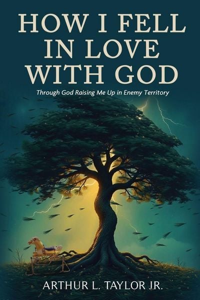 Produktbild: How I Fell in Love with God