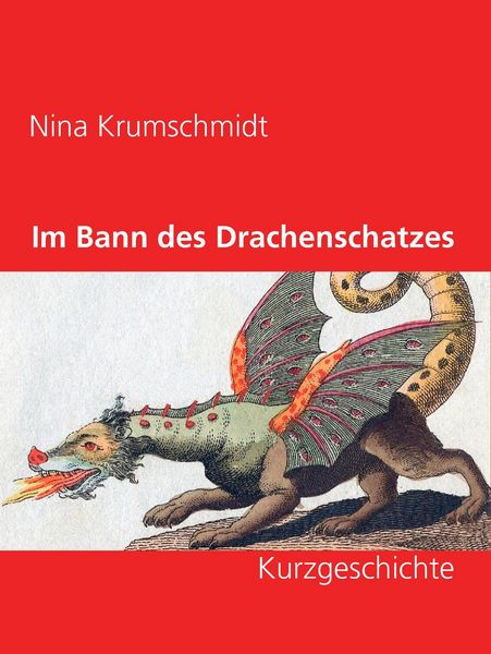 Produktbild: Im Bann des Drachenschatzes