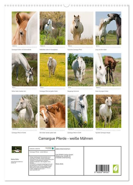 Produktbild: Camargue Pferde - wei&szlig;e M&auml;hnen (hochwertiger Premium Wandkalender 2026 DIN A2 hoch), Kunstdruck in Hochglanz