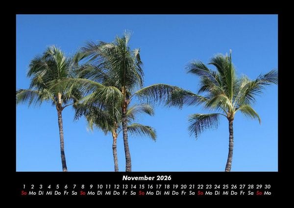 Produktbild: Palmentraum 2026 Fotokalender DIN A3