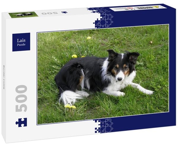 Produktbild: Lais Puzzle Border Collie 500 Teile