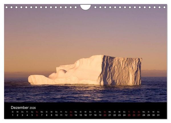 Produktbild: Arktis und Antarktis (Wandkalender 2026 DIN A4 quer), CALVENDO Monatskalender