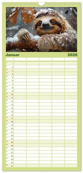 Produktbild: Familienplaner 2026 - Faultiere - entspannt durchs Jahr mit 5 Spalten (Wandkalender, 21 x 45 cm) CALVENDO