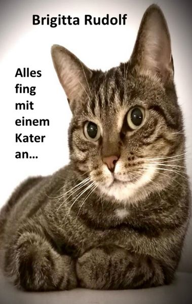 Produktbild: Alles fing mit einem Kater an