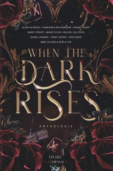 Produktbild: When the Dark Rises