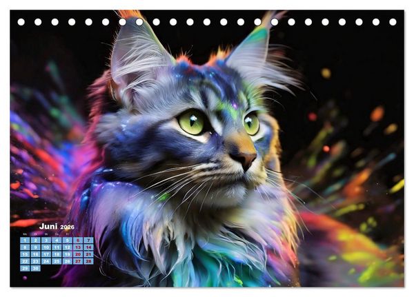 Produktbild: Splash - Katzen im Farbrausch (Tischkalender 2026 DIN A5 quer), CALVENDO Monatskalender