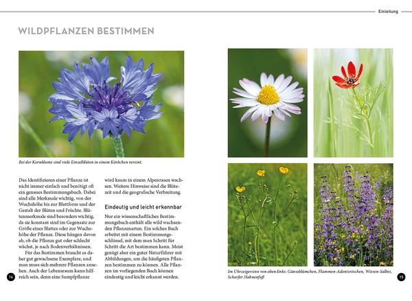 Produktbild: Lieblingsblumen