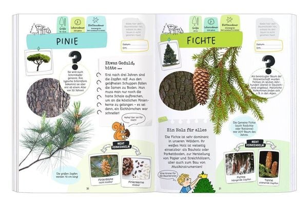 Expedition Natur Rätseln, Stickern, Bestimmen - Bäume