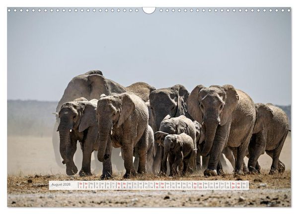 Produktbild: Namibia &ndash; Farben des Lebens (Wandkalender 2026 DIN A3 quer), CALVENDO Monatskalender