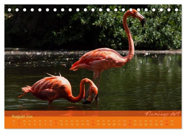 Produktbild: Flamingo Art 2026 (Tischkalender 2026 DIN A5 quer), CALVENDO Monatskalender