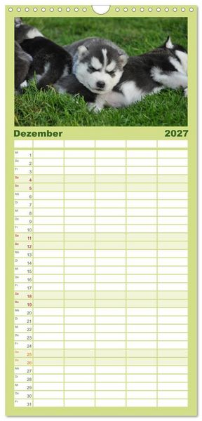 Produktbild: Familienplaner 2027 - Huskys - Traumhunde mit 5 Spalten (Wandkalender, 21 x 45 cm) CALVENDO