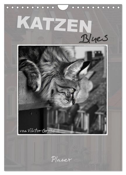 Produktbild: Katzen Blues / Planer (Wandkalender 2026 DIN A4 hoch), CALVENDO Monatskalender