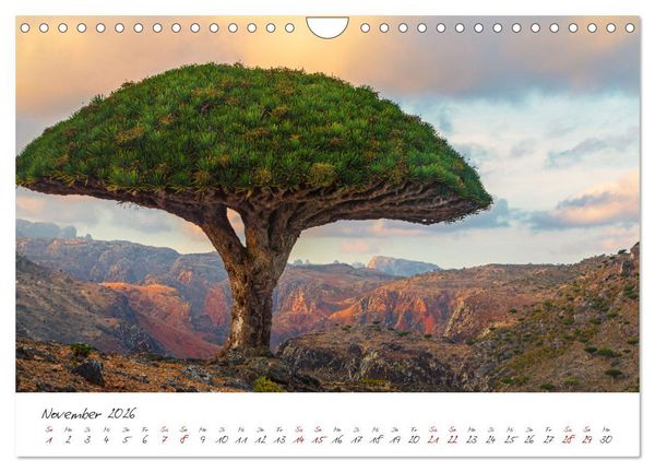 Produktbild: Socotra - Zauberhafte Insel (Wandkalender 2026 DIN A4 quer), CALVENDO Monatskalender