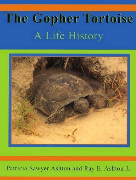 Produktbild: The Gopher Tortoise