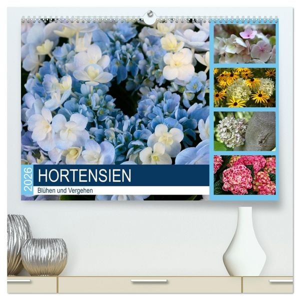 Produktbild: Hortensien Bl&uuml;hen und Vergehen (hochwertiger Premium Wandkalender 2026 DIN A2 quer), Kunstdruck in Hochglanz