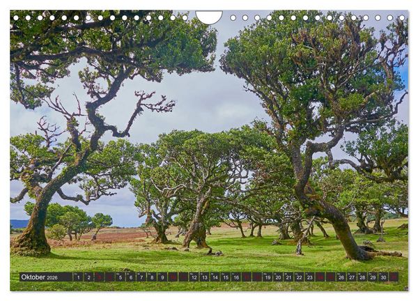 Produktbild: Madeira - Juwel im Atlantik (Wandkalender 2026 DIN A4 quer), CALVENDO Monatskalender