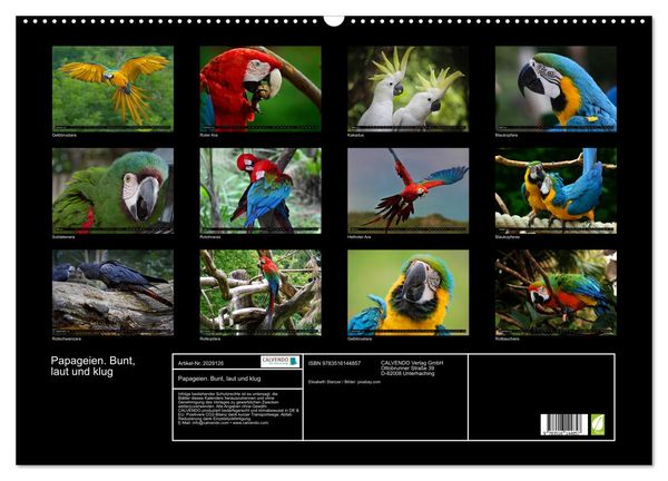 Produktbild: Papageien. Bunt, laut und klug (Wandkalender 2026 DIN A2 quer), CALVENDO Monatskalender