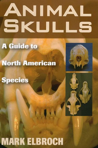 Produktbild: Animal Skulls