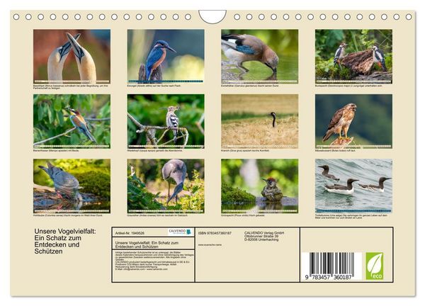 Produktbild: Unsere Vogelvielfalt: Ein Schatz zum Entdecken und Sch&uuml;tzen (Wandkalender 2026 DIN A4 quer), CALVENDO Monatskalender