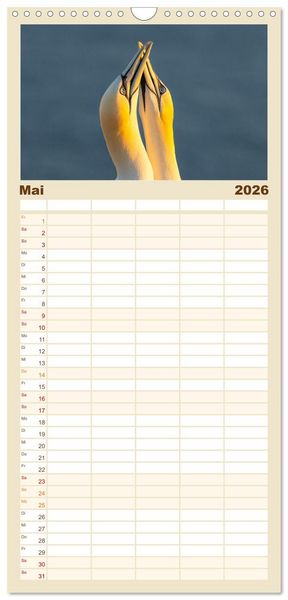 Produktbild: Familienplaner 2026 - Basst&ouml;lpel - Helgolands faszinierende V&ouml;gel mit 5 Spalten (Wandkalender, 21 x 45 cm) CALVENDO