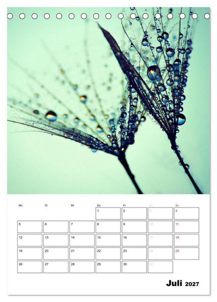 Produktbild: Pusteblumentraum - Dreams of Dandelion (Tischkalender 2027 DIN A5 hoch), CALVENDO Monatskalender