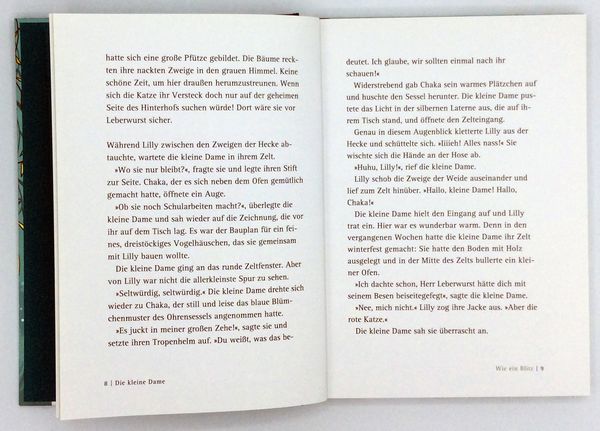 Produktbild: Die kleine Dame und der rote Prinz / Die kleine Dame Band 2