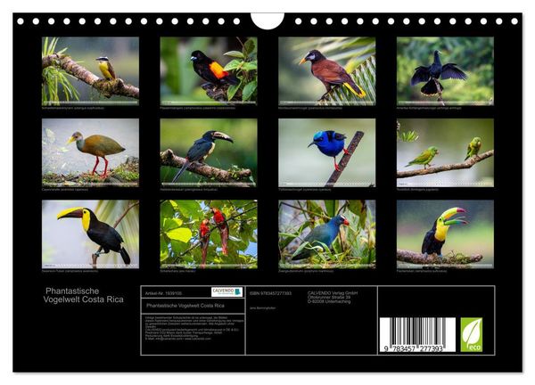 Produktbild: Phantastische Vogelwelt Costa Rica (Wandkalender 2026 DIN A4 quer), CALVENDO Monatskalender