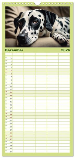 Produktbild: Familienplaner 2026 - Dalmatiner - freundliche Temperamentsbolzen mit 5 Spalten (Wandkalender, 21 x 45 cm) CALVENDO
