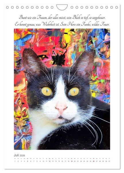 Produktbild: Katzenlyrik - Zw&ouml;lf Seelen auf Samtpfoten in Wort und Bild (Wandkalender 2026 DIN A4 hoch), CALVENDO Monatskalender